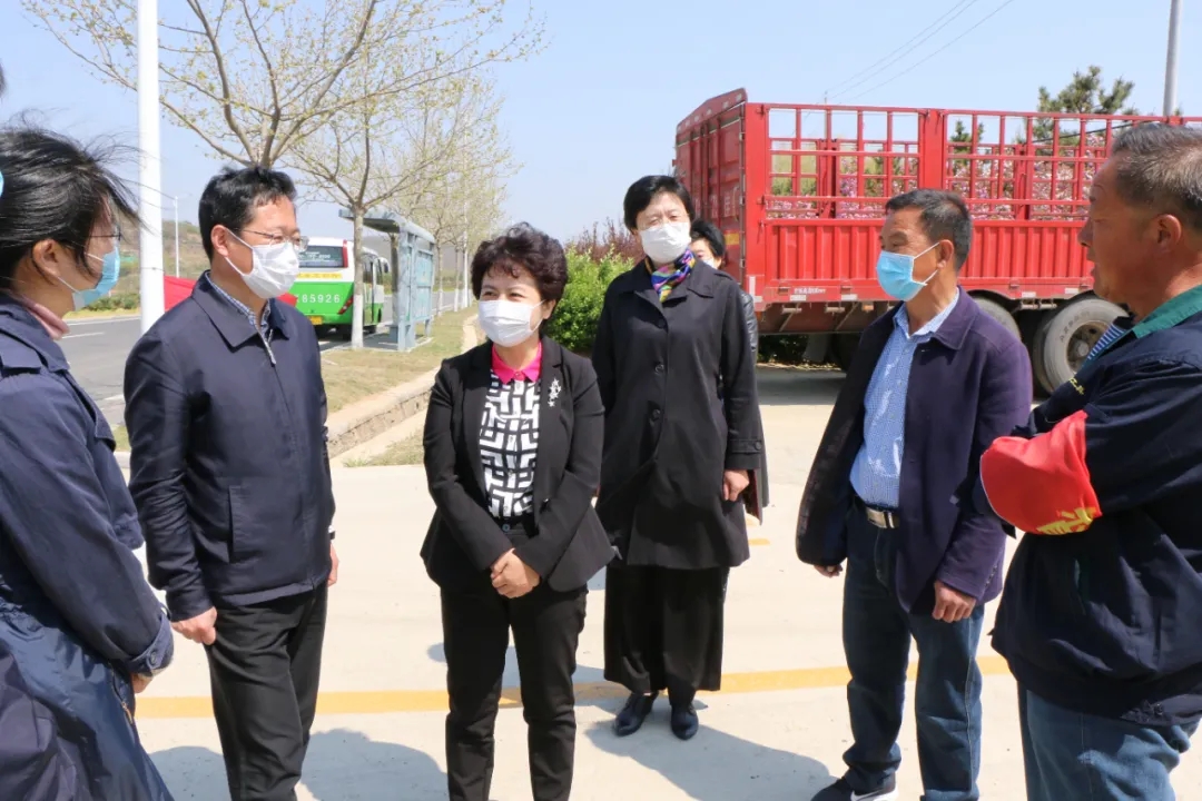 威海市妇联主席彭霞到联系村走访调研